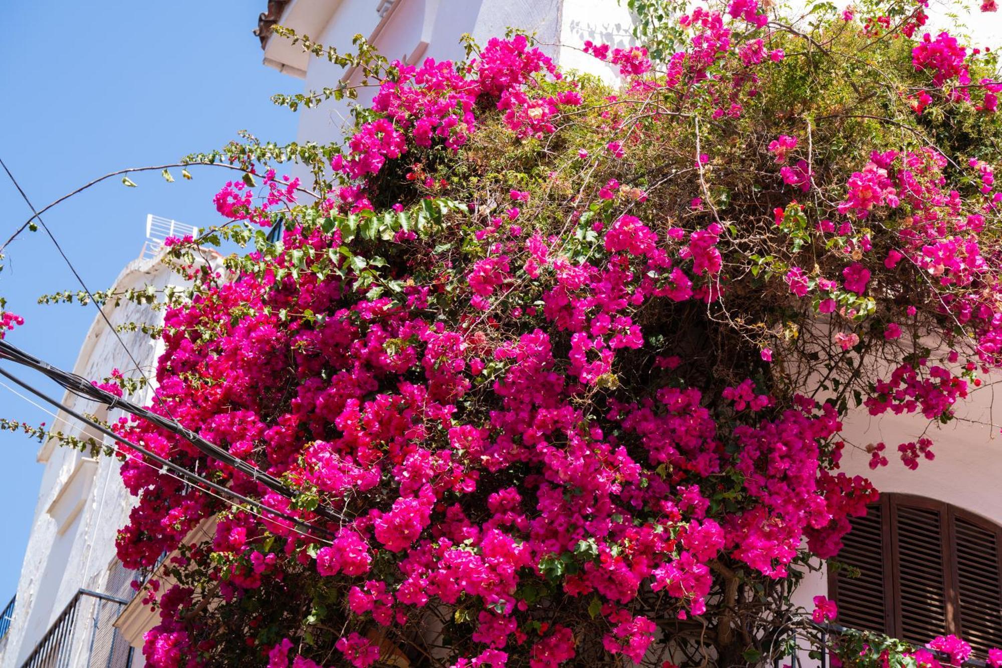 Marbella Luxury Duplex 106 Close To The Beach ภายนอก รูปภาพ